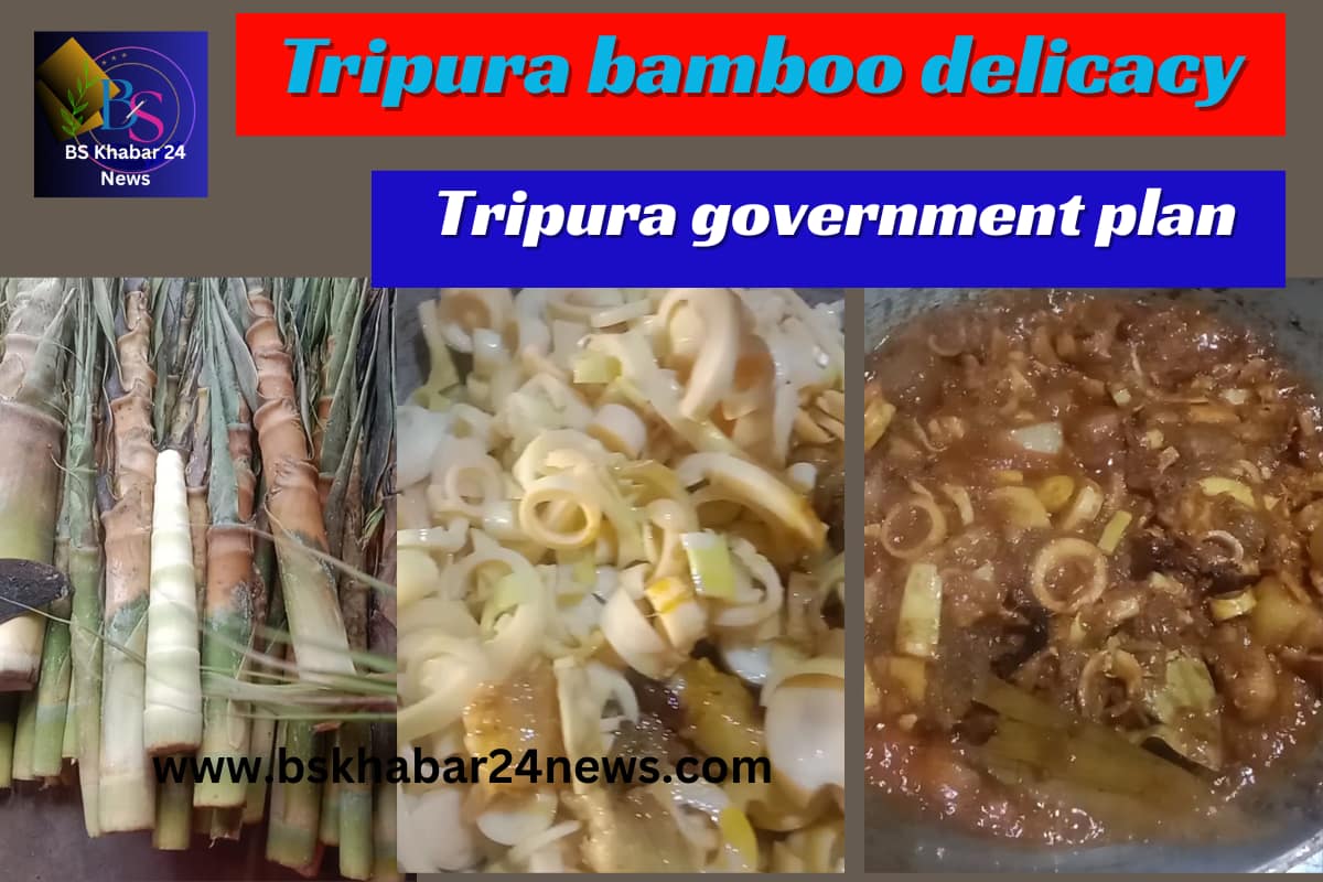 Collage image showing Tripura’s famous bamboo delicacy, from raw bamboo shoots to cooked dishes, highlighting the Tripura government’s plan to boost bamboo production, with BS Khabar 24 News logo and website link.