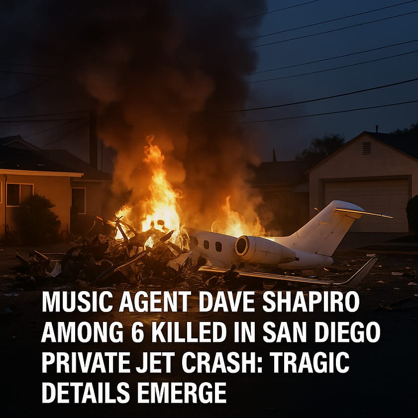 Music Agent Dave Shapiro plane crash, Among 6 Killed in San Diego Private Jet Crash
